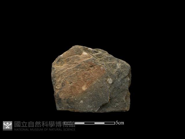 斧鋤形器藏品圖，第2張