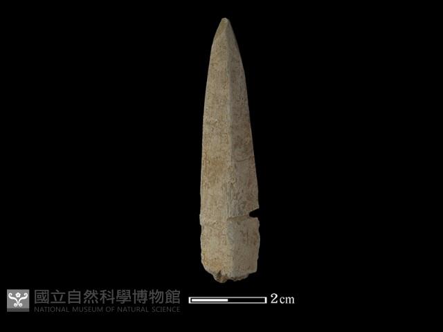 矛鏃形器藏品圖，第1張