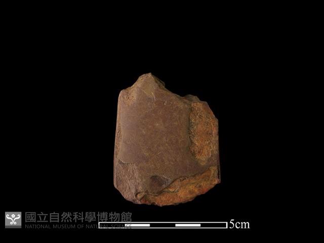 錛鑿形器藏品圖，第2張