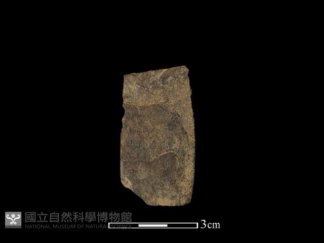 磨製有刃石器藏品圖，第1張