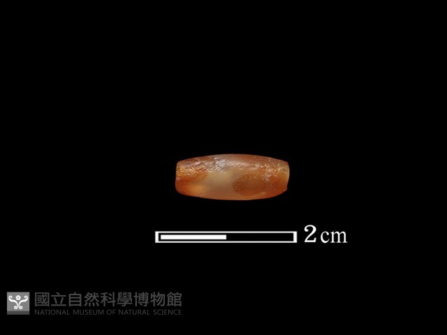 珠飾藏品圖，第1張