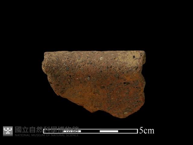 陶罐藏品圖，第3張