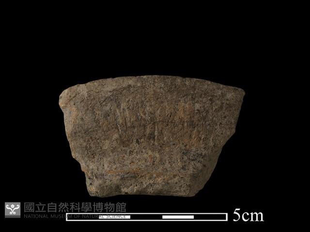 陶罐藏品圖，第1張