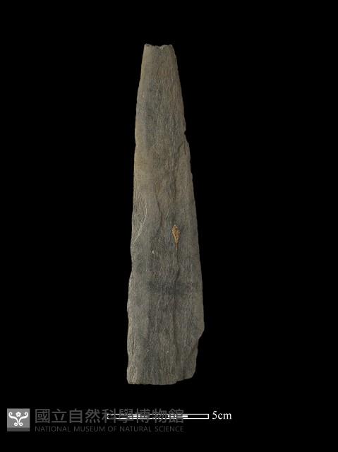 矛鏃形器藏品圖，第2張