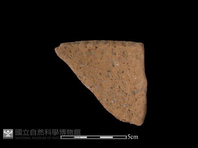 陶片藏品圖，第3張