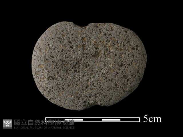 網墜藏品圖，第3張