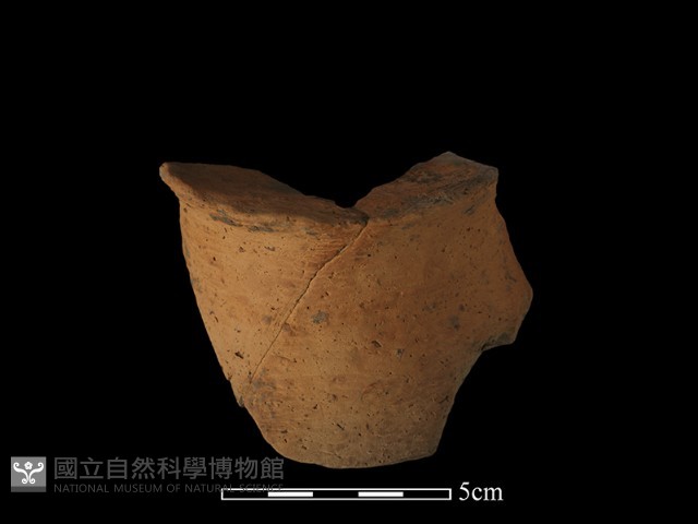 陶片藏品圖，第3張