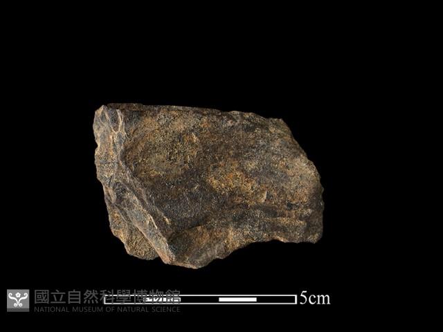 石片器藏品圖，第1張