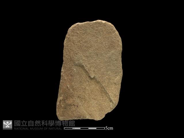 斧鋤形器藏品圖，第1張