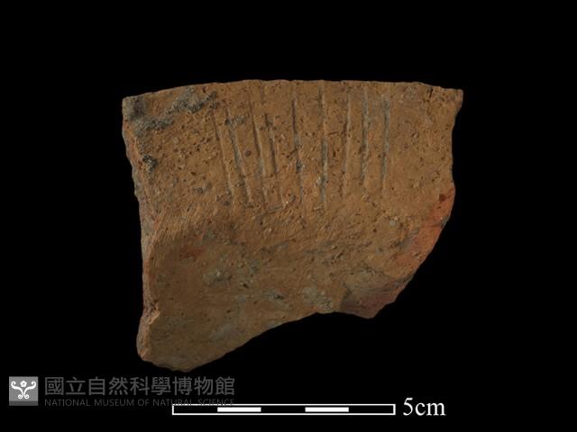 陶罐藏品圖，第2張