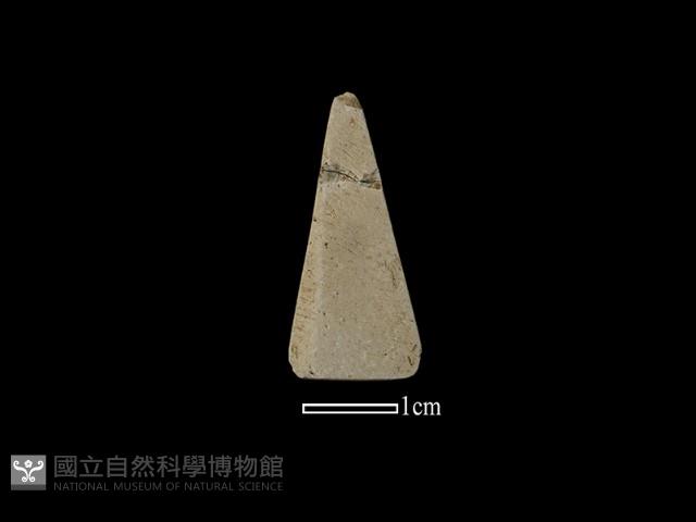 矛鏃形器藏品圖，第2張