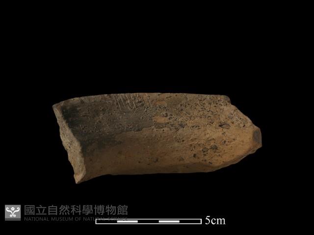 陶罐藏品圖，第2張