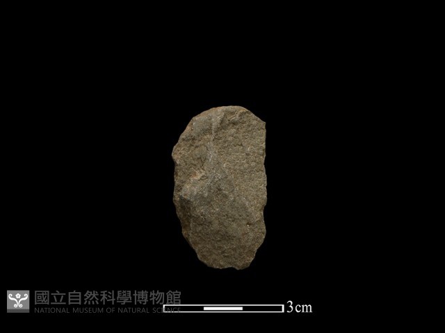 石片藏品圖，第2張