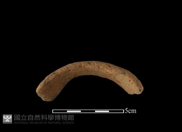 陶把藏品圖，第1張