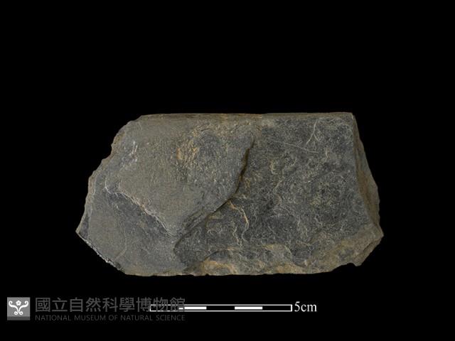 磨製有刃石器藏品圖，第2張