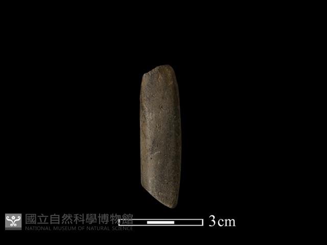 錛鑿形器藏品圖，第2張