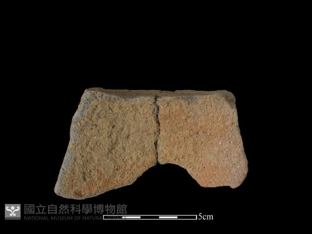 陶片藏品圖，第2張