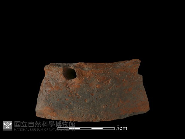 陶片藏品圖，第3張