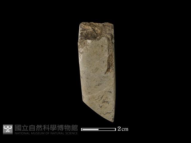 錛鑿形器藏品圖，第2張