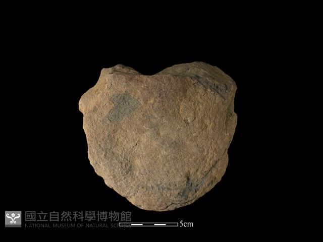 砍砸器藏品圖，第1張