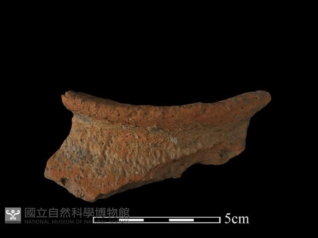 陶罐藏品圖，第3張