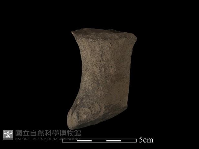 獸足藏品圖，第3張