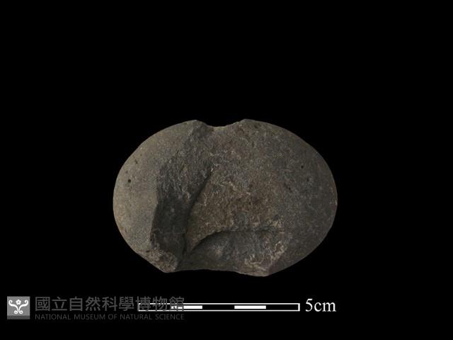 網墜藏品圖，第2張