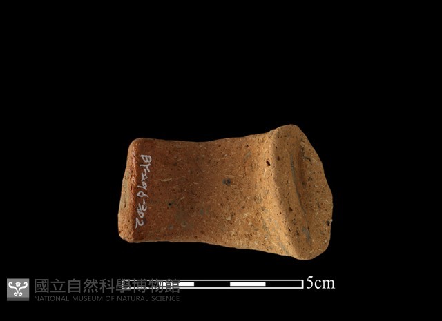 陶把藏品圖，第2張