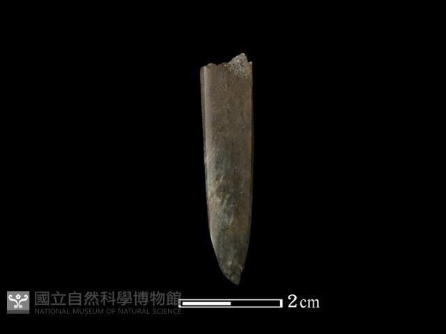 錛鑿形器藏品圖，第1張