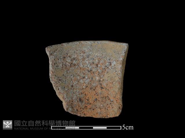 陶片藏品圖，第2張