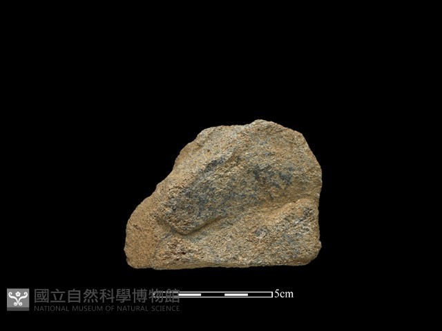 斧鋤形器藏品圖，第1張