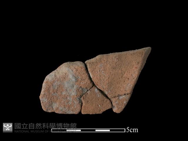 陶片藏品圖，第1張