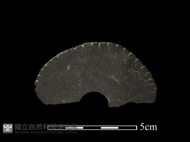 圓板形石器藏品圖，第2張