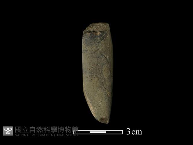 錛鑿形器藏品圖，第3張