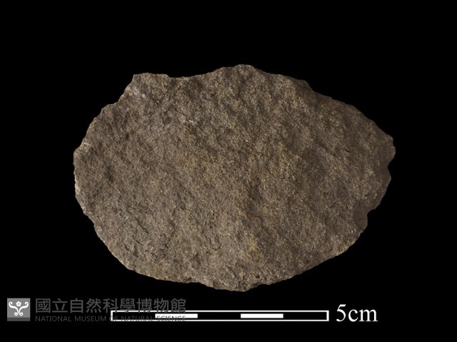 石片器藏品圖，第1張