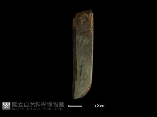 錛鑿形器藏品圖，第2張