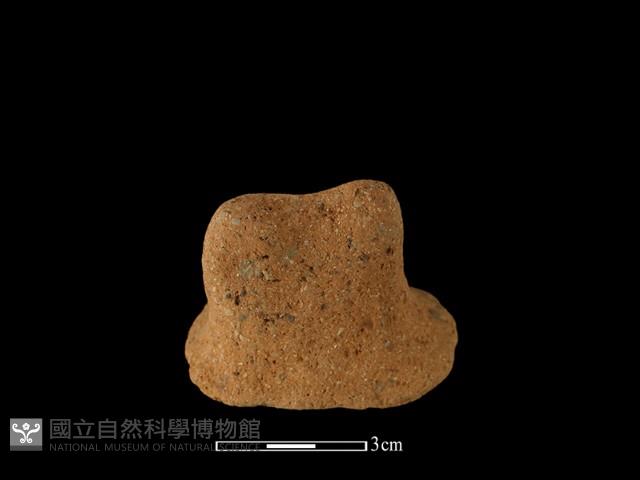 陶蓋鈕藏品圖，第1張