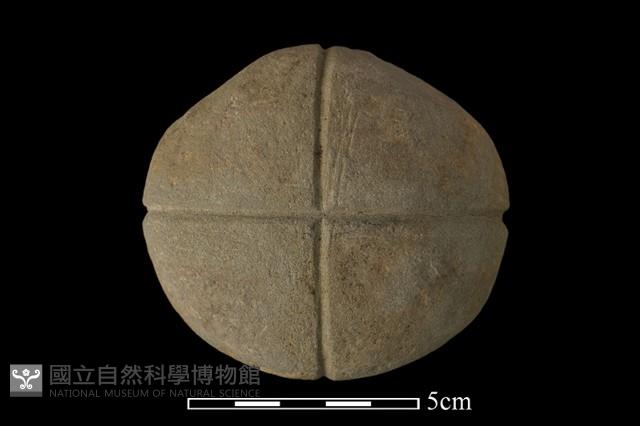 網墜藏品圖，第2張