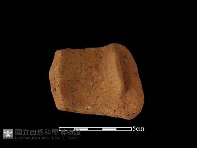 Accession Number:BY-2016-267 Collection Image, Figure 2, Total 2 Figures