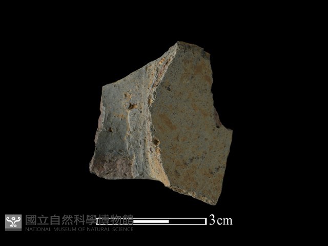 陶把藏品圖，第2張