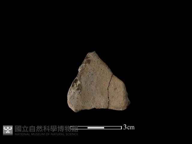 連杯形器藏品圖，第2張