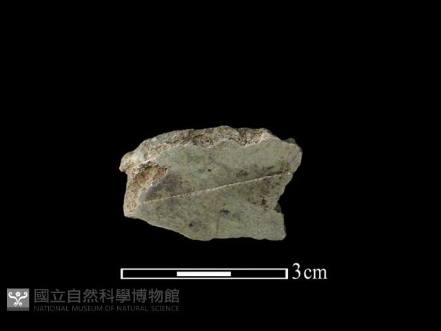 帶加工痕玉材藏品圖，第1張