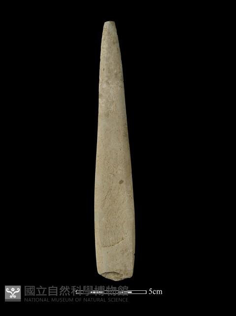 矛鏃形器藏品圖，第1張