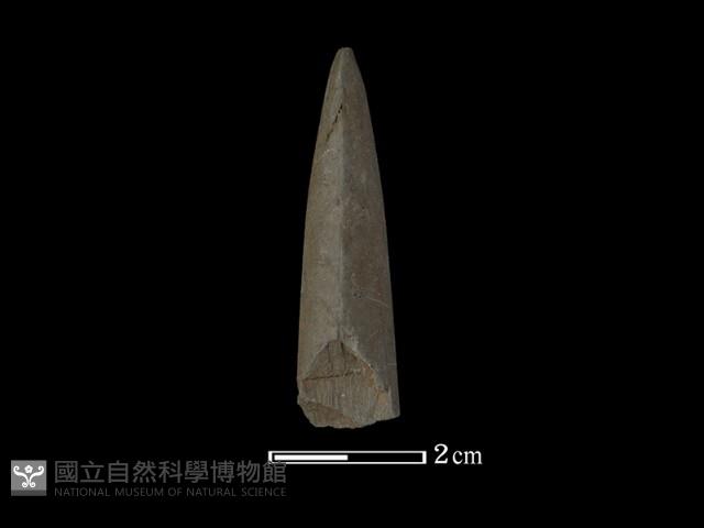 矛鏃形器藏品圖，第1張