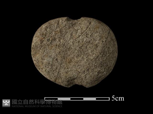 網墜藏品圖，第2張