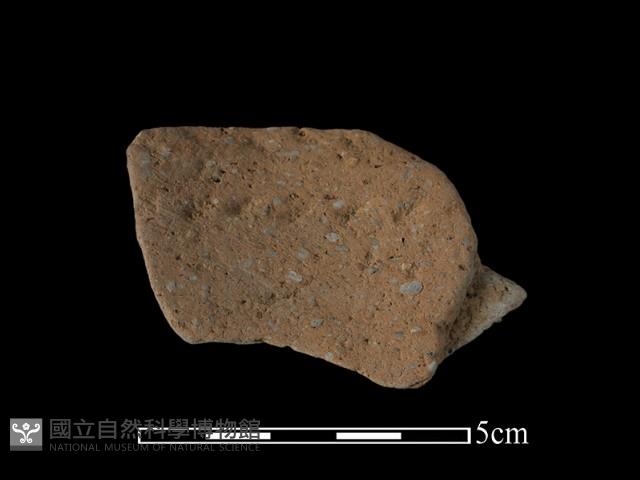 陶罐藏品圖，第1張