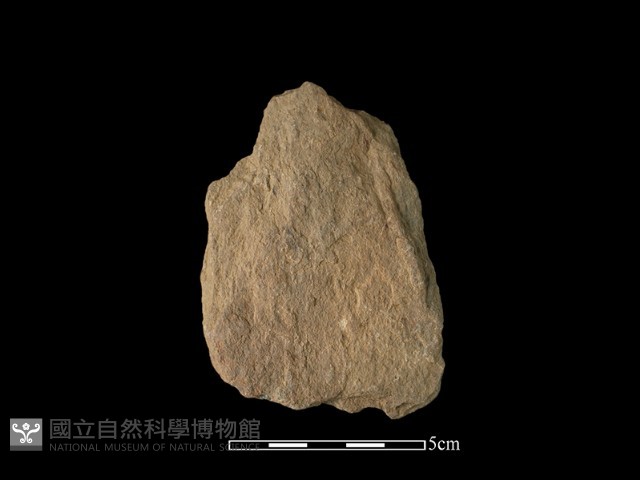 石片器藏品圖，第2張