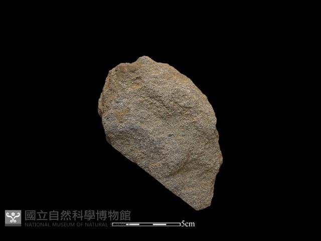 斧鋤形器藏品圖，第2張