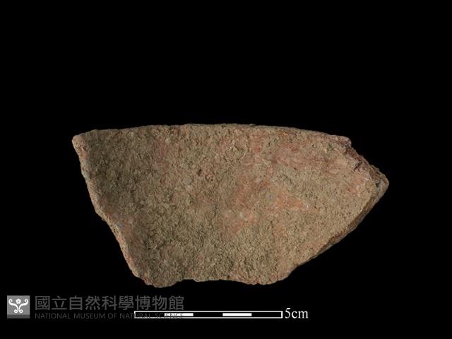 陶罐藏品圖，第2張