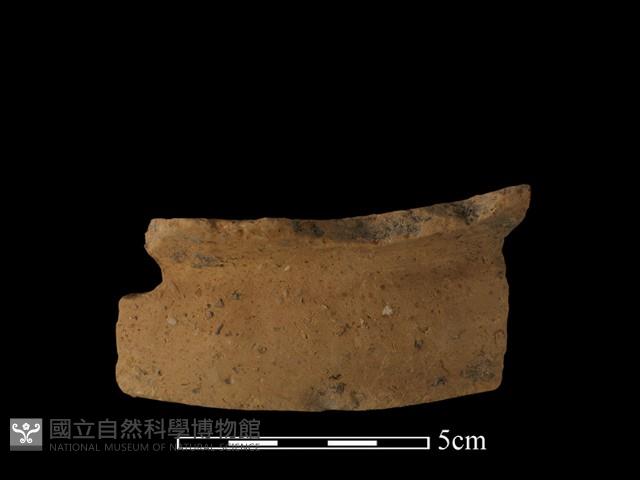 陶片藏品圖，第1張